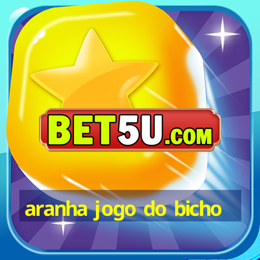 aranha jogo do bicho